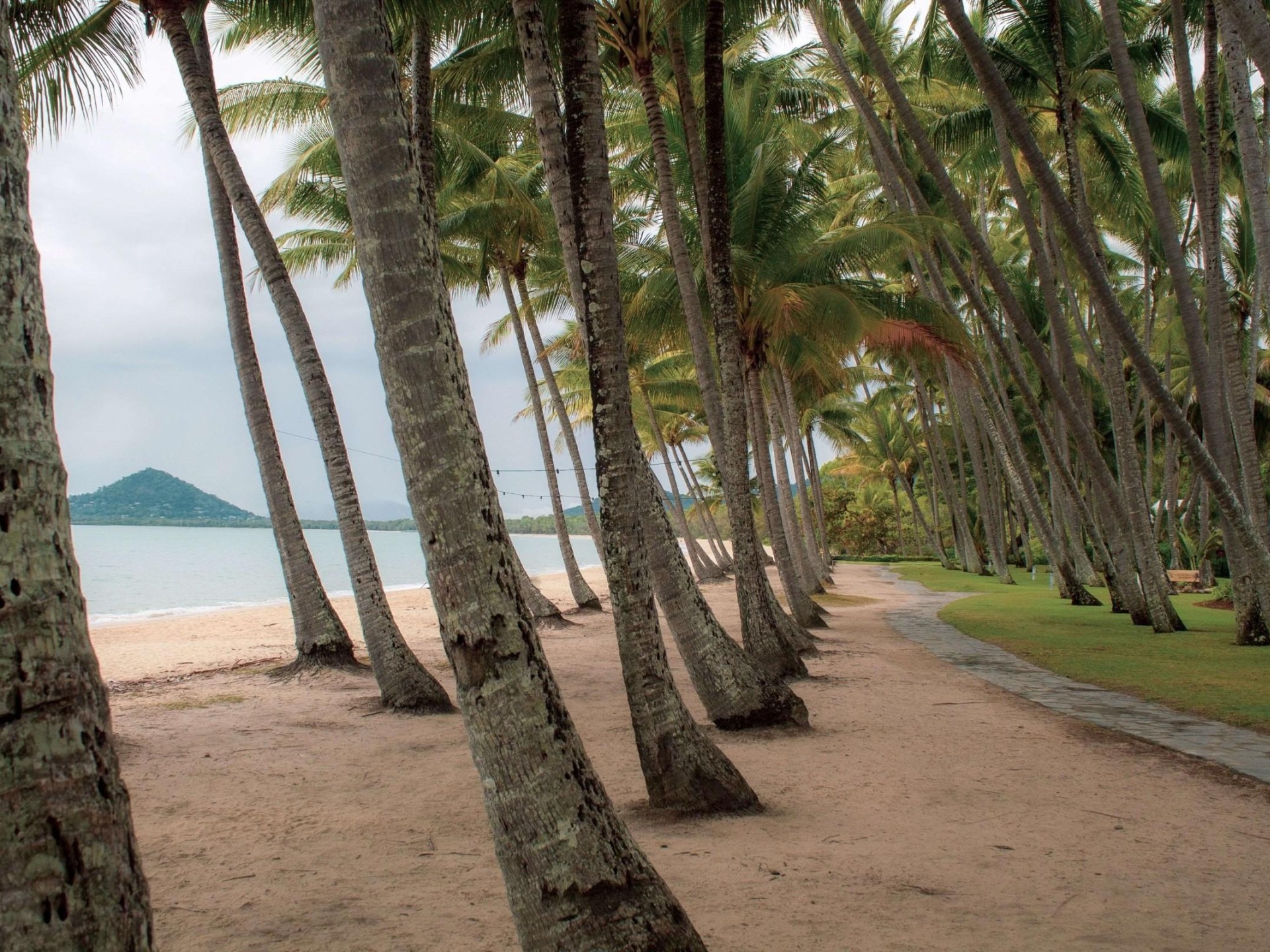 Management Rights for sale Palm Cove