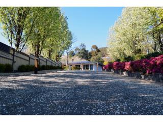 Motels For Sale - 1 large