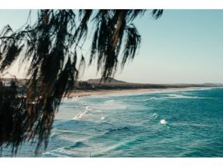 Management Rights For Sale - 1 large