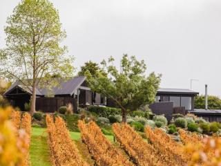 Management Rights For Sale - 1 large