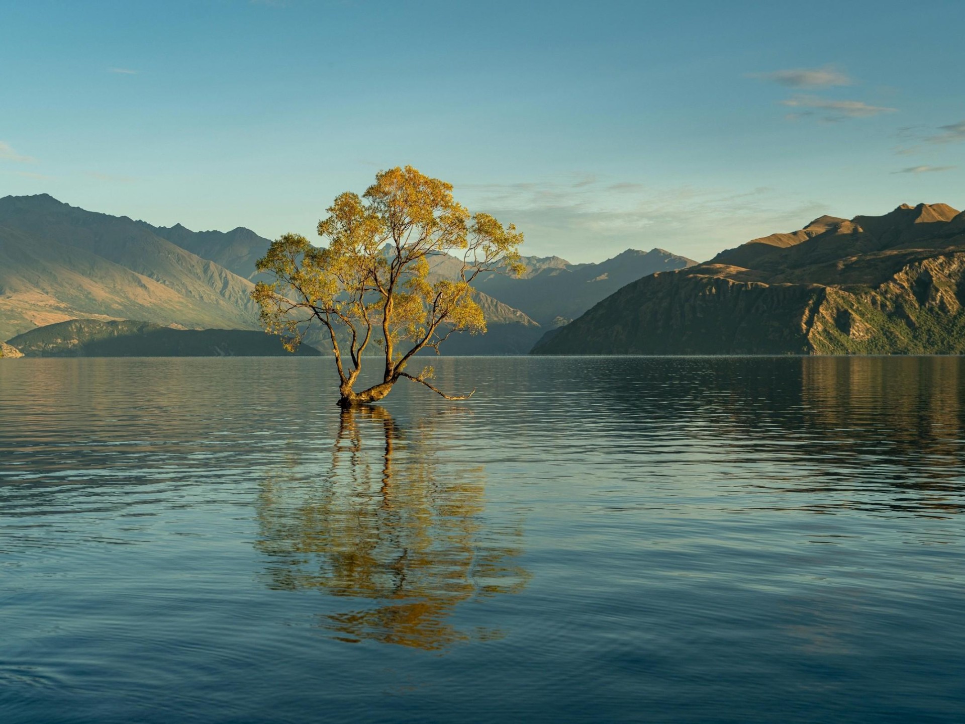 Hotel for sale South Island