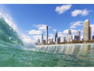 Management Rights For Sale - 1 large