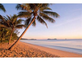 Management Rights For Sale - 1 large