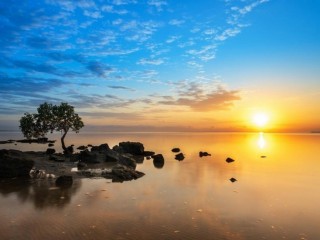 Management Rights For Sale - 1 large
