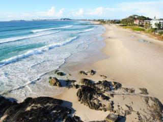 Management Rights For Sale - 1 large