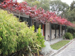 Motels For Sale - 1 large