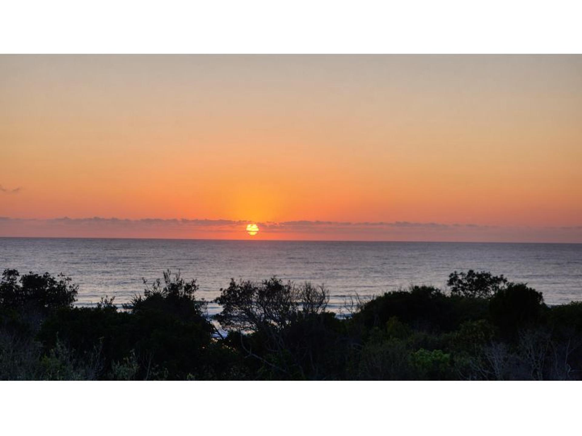 Management Rights for sale Maroochydore