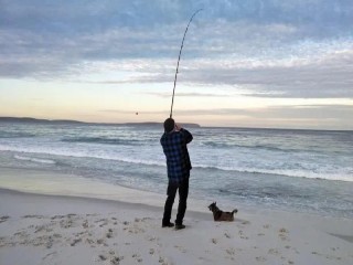 Caravan Parks For Sale - 1 large