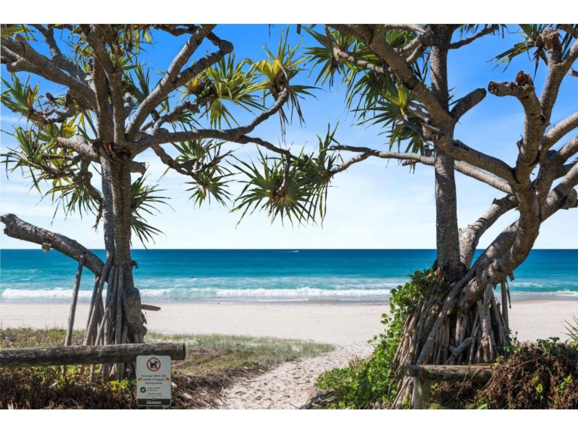 Management Rights for sale Tugun