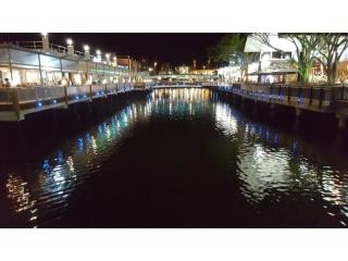 Management Rights For Sale - 1 large