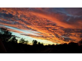 Caravan Parks For Sale - 1 large