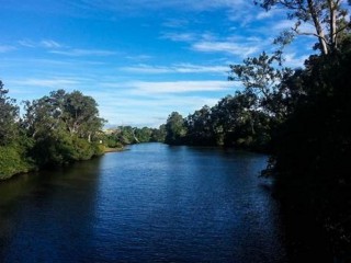 Management Rights For Sale - 1 large