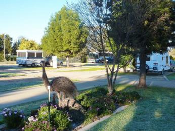 Caravan Parks For Sale - 1 large