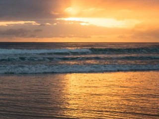 Management Rights For Sale - 1 large