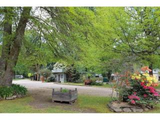 Harrietville Caravan Park