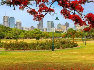 Management Rights for sale New Farm