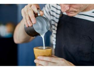 Caravan Parks For Sale - 1 large