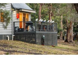 Management Rights For Sale - 1 large