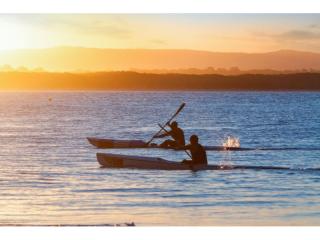 Management Rights For Sale - 1 large