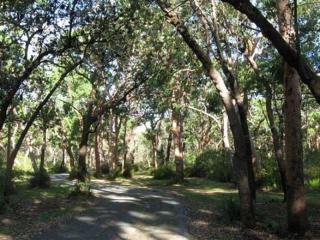 Caravan Parks For Sale - 1 large