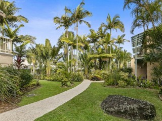 Management Rights For Sale - 1 large