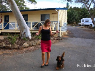Caravan Parks For Sale - 1 large