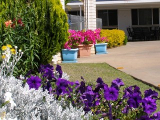 Motels For Sale - 1 large