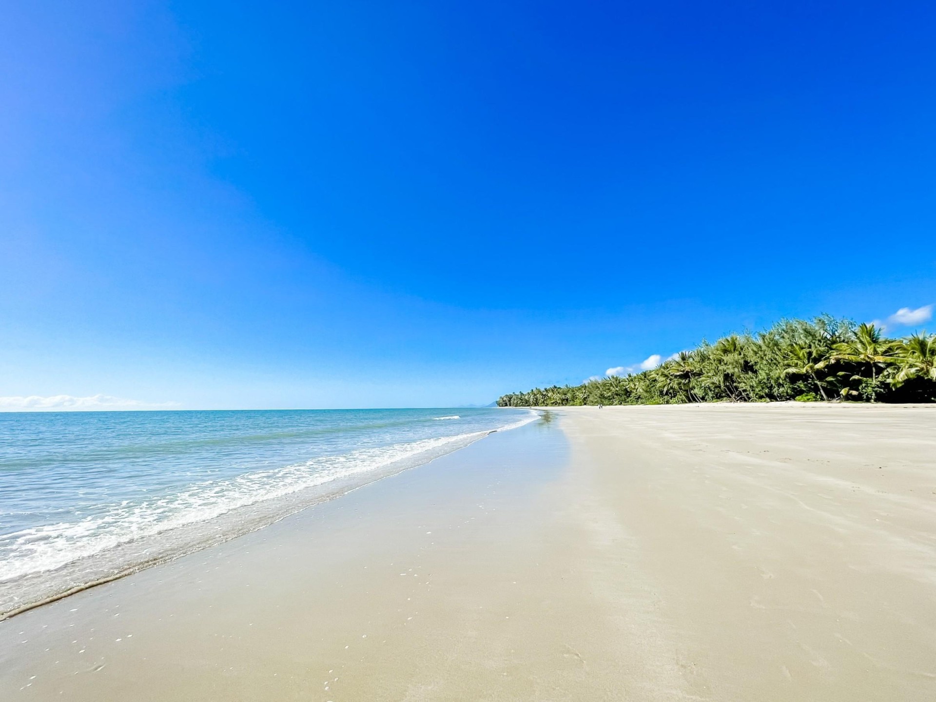 Management Rights for sale Port Douglas