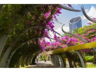 Management Rights For Sale - 1 large